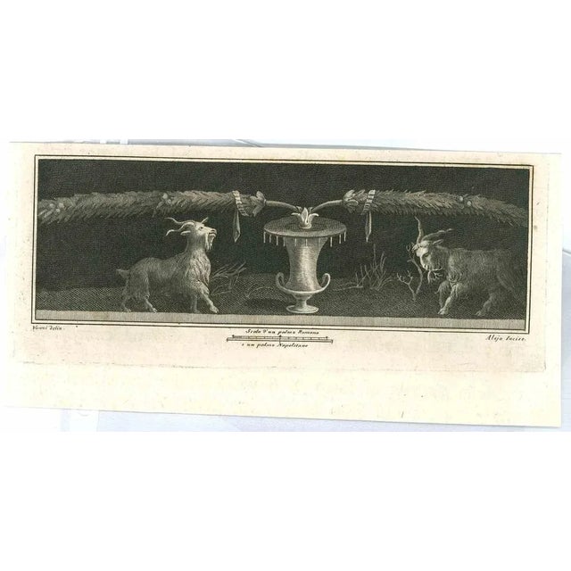 Ancient roman frescoes, from the series "antiquities of herculaneum", is an original etching on paper realized from a...