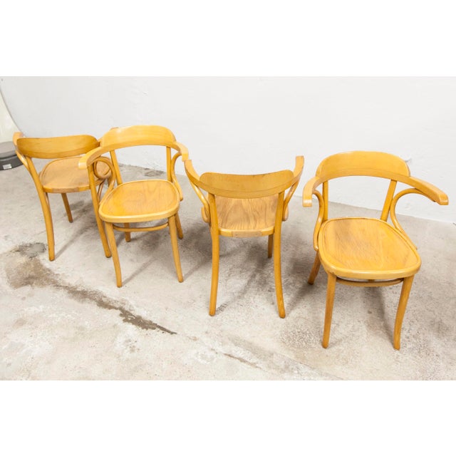Vintage Bistro Armchairs, 1960s, Set of 4 For Sale - Image 18 of 18