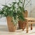 This set of tall seagrass planters are tightly woven around a wire metal frame. This warm, natural look in an overscaled...