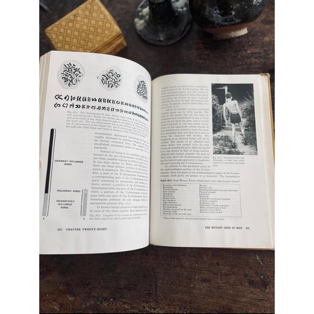 Paper 1957 the Principles of Heredity For Sale - Image 7 of 10