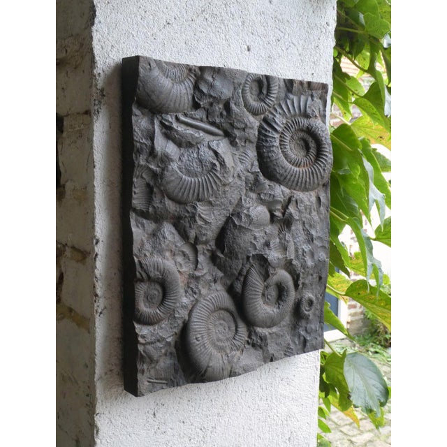 Cast Iron Plate Decorated with Ammonite Fossils, 1960s, in Very Good conditions. Designed 1960 to 1969