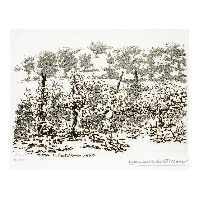 Leonardo Castellani - The Vineyard - Etching - 1960 For Sale