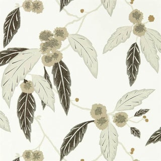 Harlequin Coppice Wallpaper in Oyster/Ebony/Gilver - a Sample For Sale