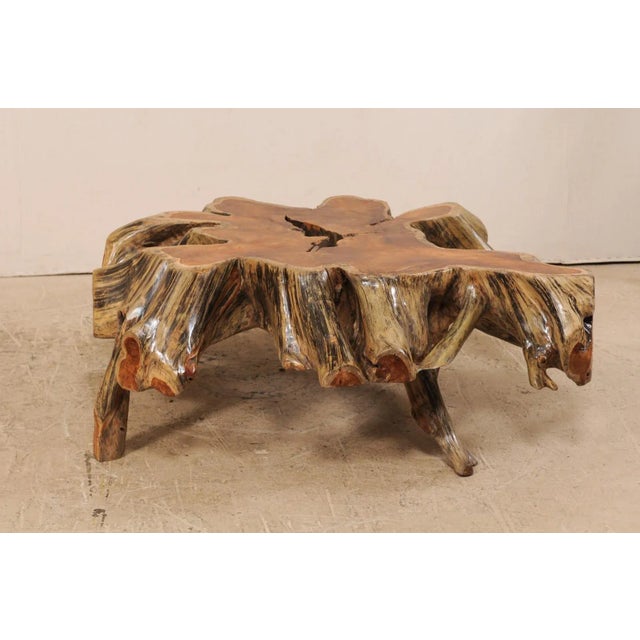Mid 19th Century Organic Modern Tree Root Coffee Table For Sale In Atlanta - Image 6 of 12