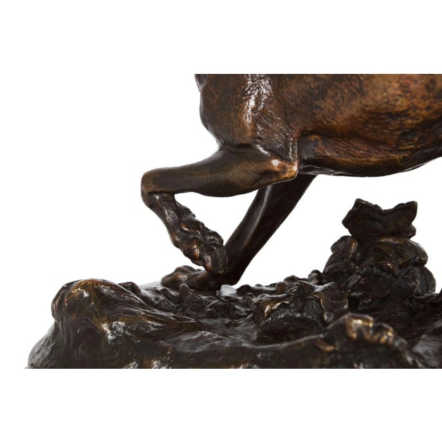 French Antique Bronze Sculpture of Pointer Dog by Pierre-Jules Mêne Circa 1880 For Sale - Image 11 of 12