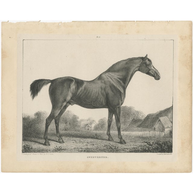 Gold After Chalon, Equestrian Illustrations, Lithographs, 1840, Set of 4 For Sale - Image 8 of 12