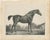 Gold After Chalon, Equestrian Illustrations, Lithographs, 1840, Set of 4 For Sale - Image 8 of 12