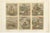 Six Mythical Scenes in Rich Color, 1800s, Paper For Sale - Image 10 of 10