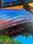 Steve Schaaf Contemporary Autumn Reflection For Sale - Image 10 of 10