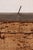Wood 18th Century Hand Painted Wedding Box For Sale - Image 7 of 7