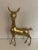 This elegant Doe sculpture is made of brass. This is a French work, circa 1970.