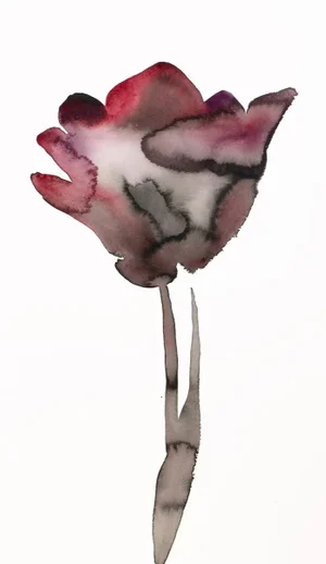 "Tulip" Contemporary Original Botanical Ink Painting by Elizabeth Becker