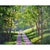 Sheryl Knight Sunlit Pathway oil painting. This Sheryl Knight painting comes framed as shown. Dimensions 20"H X 25"W...