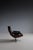 Lounge Chair attributed to Carlo Hauner, 1980s, in Very Good conditions. Designed 1950 to 1959 This piece is attributed to...