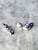 Set of 2, 1980s Ceramic Blue and White Cat For Sale In San Francisco - Image 6 of 13