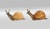 Wood Snail Sculpture Pair 1970s Signed Tarzia Firenze Italy For Sale - Image 7 of 13