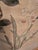 A colorful and exquisite vintage asian watercolor painting fully signed and stamped from the mid century modern era or...