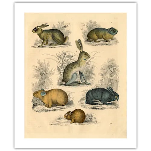 Featured is a beautiful museum-quality print of an original bookplate from the mid-1800s that has been digitally altered....