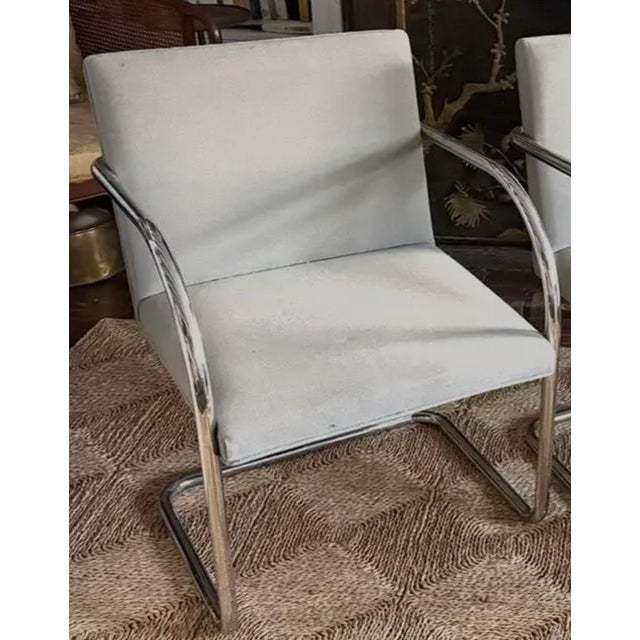 Mies Van der Rohe Mid Century Knoll International Brno Tubular Chrome Cantilever Chairs - Signed and Dated 1979 For Sale - Image 4 of 17