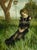 Listening by Nadezda | Oil on Panel Woman sitting in grass with a birdhouse in the background. For Sale