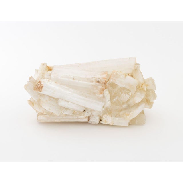 White Selenite Crystal Jardiniere For Sale - Image 8 of 11