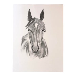 "Firecracker" Contemporary Charcoal Horse Portrait Drawing by Nancy Smith For Sale