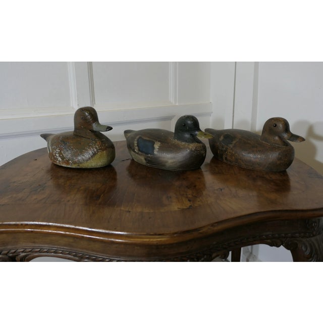 Wood Painted and Carved Decoy Ducks, 1890s-1910s, Set of 3 For Sale - Image 7 of 8