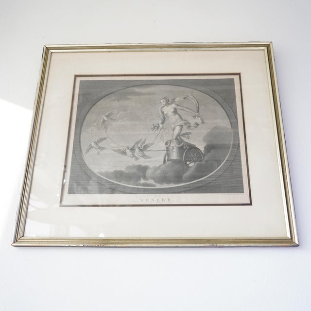 Late 18th–Early 19th Century Neoclassical “Venere” Venus Engraving After Raphael – Tofanelli & Bertigneni For Sale - Image 14 of 14