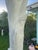 Monumental Indoor Sculptural Banana Tree by Julio Jimenez – One-of-a-Kind Tropical Statement Piece For Sale In Miami - Image 6 of 17