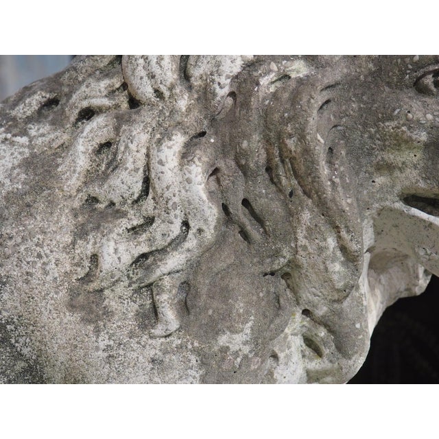 A French Medici Style Lion in Reconstituted Stone, 20th C For Sale - Image 9 of 18
