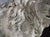 A French Medici Style Lion in Reconstituted Stone, 20th C For Sale - Image 9 of 18