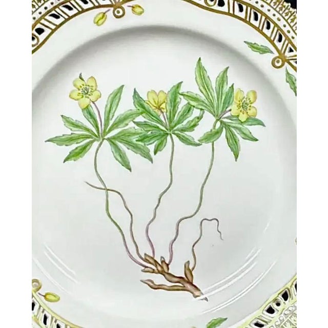 Mid 20th Century Royal Copenhagen Flora Danica Plate, Anemone Ranunculoides L, Gilt Border For Sale - Image 5 of 8