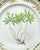 Mid 20th Century Royal Copenhagen Flora Danica Plate, Anemone Ranunculoides L, Gilt Border For Sale - Image 5 of 8