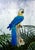 Royal Blue Large Mid Century Italian Royal Blue and Yellow Ceramic Hand Painted Majolica Macaw (Parrot) For Sale - Image 8 of 12
