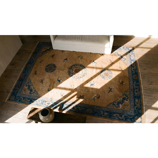 Spectacular Tan and Blue Color With Dragon Design Antique Chinese Rug For Sale In New York - Image 6 of 8