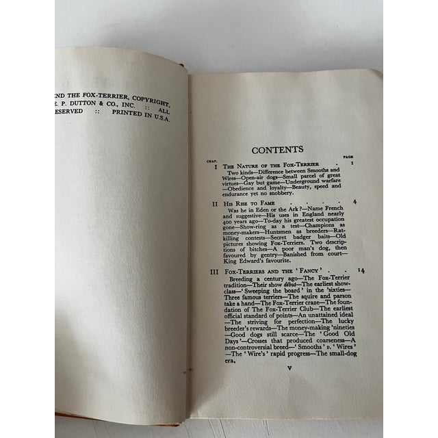 1933 Our Friend the Fox Terrier Book For Sale - Image 4 of 5