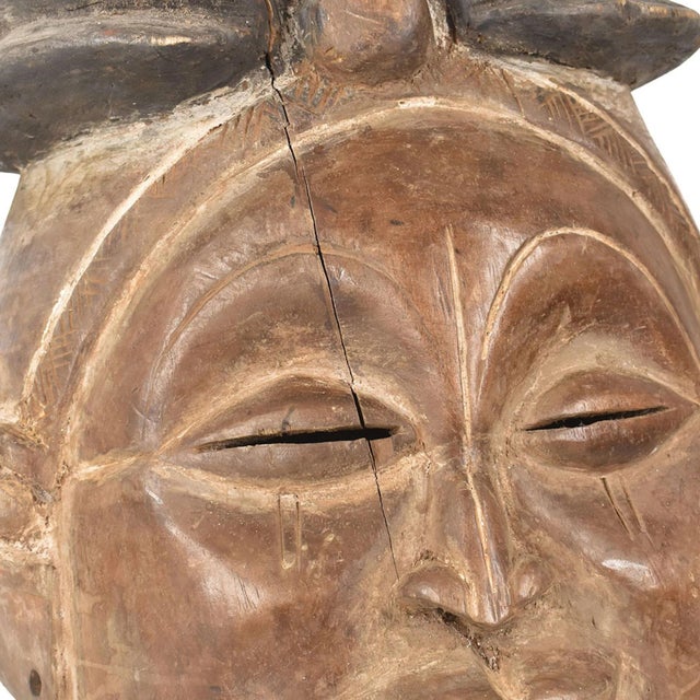 The Suku, a community of around 80,000 people, share a cultural and artistic affinity with their more populous neighbors,...