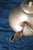 Metal 1970s Mid-Century Modern Brass Teapot For Sale - Image 7 of 10