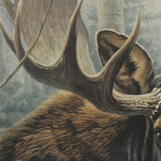 1970s Robert Bateman "Bull Moose" Framed Lithograph Signed/Numbered For Sale - Image 4 of 11