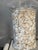 1960s Vintage Large Glass Jars With Sea Shells For Sale - Image 5 of 12