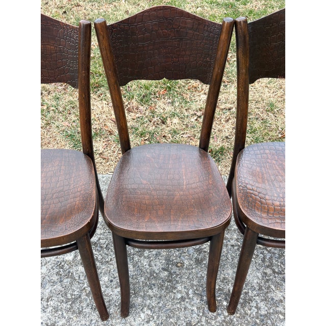 Brown 1920s Model 255 Thonet Bentwood Chairs "Crocodile" Pattern, Set of 4 For Sale - Image 8 of 13
