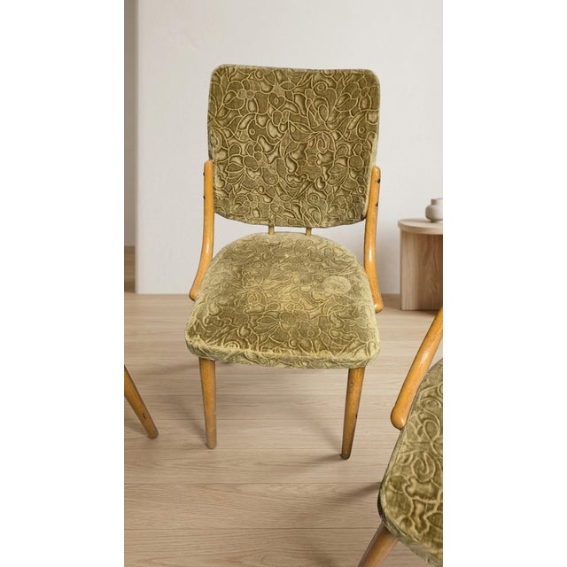 1960s Bentwood Dining Chairs in Beechwood & Olive Velour from TON, Czechoslovakia, 1970s, Set of 4 For Sale - Image 5 of 9