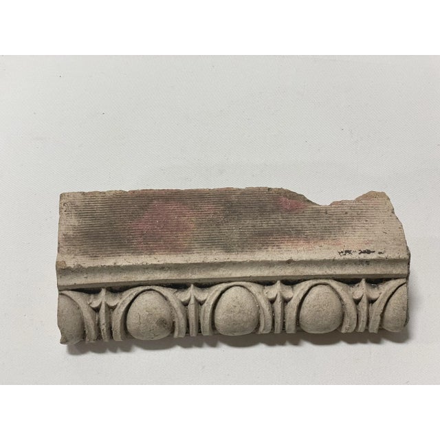 Neoclassical Mid 20th Century Architectural Remnant With Egg and Dart Design For Sale - Image 3 of 7
