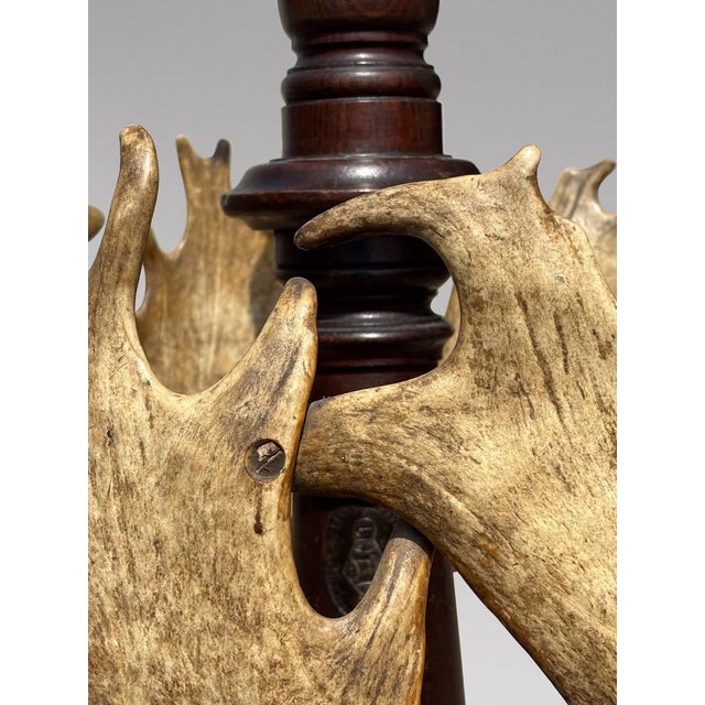 Mid 19th Century Antique Antler Coat Stand by J. Parker of Woodstock, 1850 For Sale - Image 5 of 12