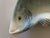 Mid-Century Modern Vintage MCM Fitz & Floyd Classics Fish Serving Platter For Sale - Image 3 of 5