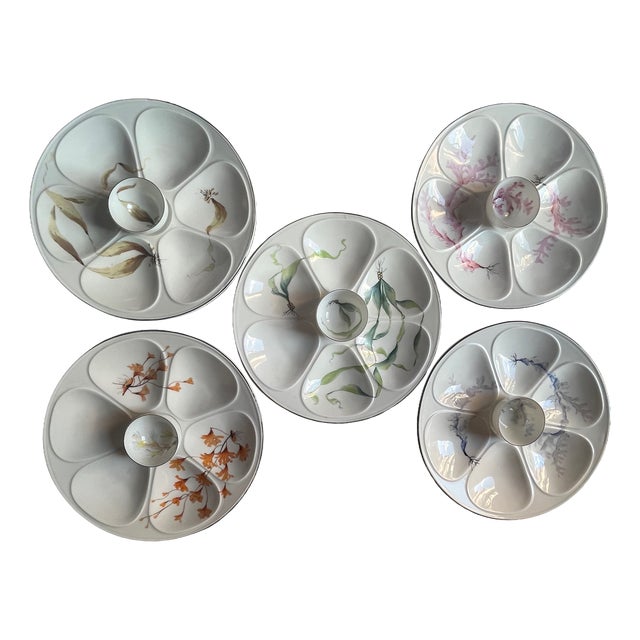 French Porcelain Limoges Oyster Shell Plates with Seaweeds, 1930s, Set of 5 For Sale