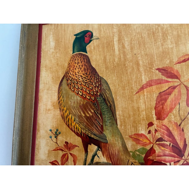Mid 20th Century Vintage Pheasant Framed Art Roger Tory Peterson Cottage English Study Decor For Sale - Image 5 of 18