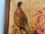 Mid 20th Century Vintage Pheasant Framed Art Roger Tory Peterson Cottage English Study Decor For Sale - Image 5 of 18