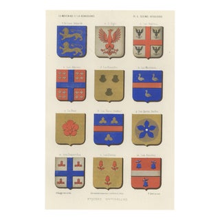 Ferdinand Séré, Natural Figures in Heraldry, Lions and Eagles, 1851, Chromolithograph For Sale