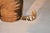 Set of Three Hand Painted Canvas Carnival Cats, 20th Century For Sale In Greensboro - Image 6 of 10